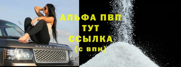 СК Верхний Тагил