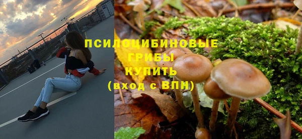 СК Верхний Тагил