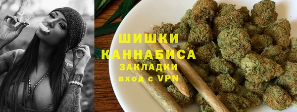PSILOCYBIN Верея