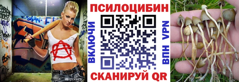 Галлюциногенные грибы MAGIC MUSHROOMS  Купить закладки  Нерчинск 